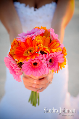 Best Anna Maria Island Wedding photographer - Sandra Johnson (SJFoto.com)